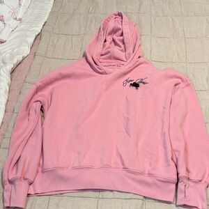 Abercrombie Kids Pink Hoodie with Embroidery